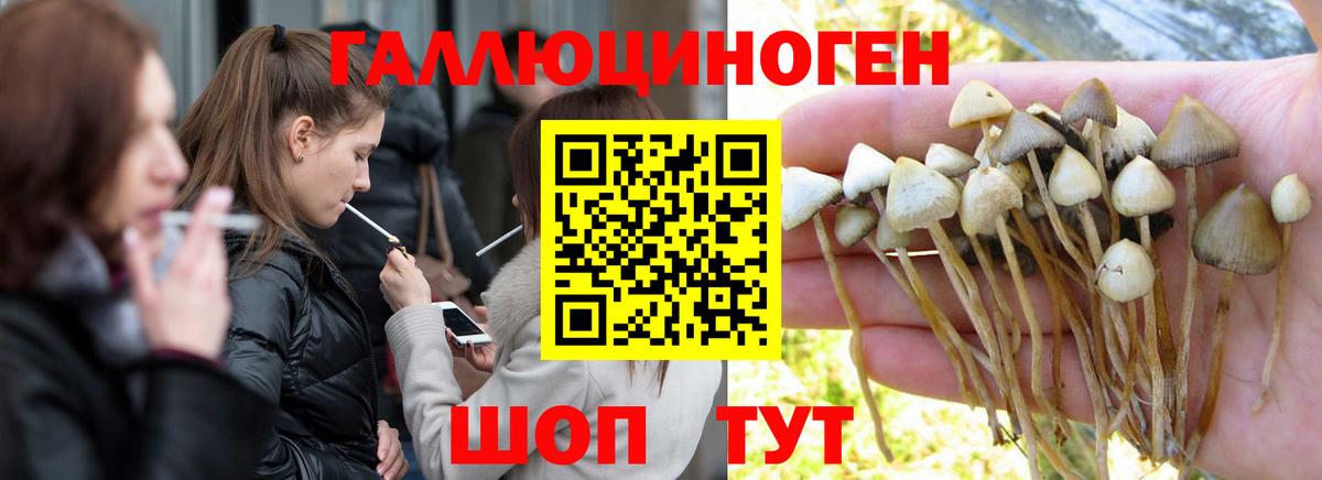 Псилоцибиновые грибы ЛСД Лениногорск